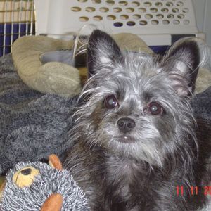 Meet your Posher, Marian